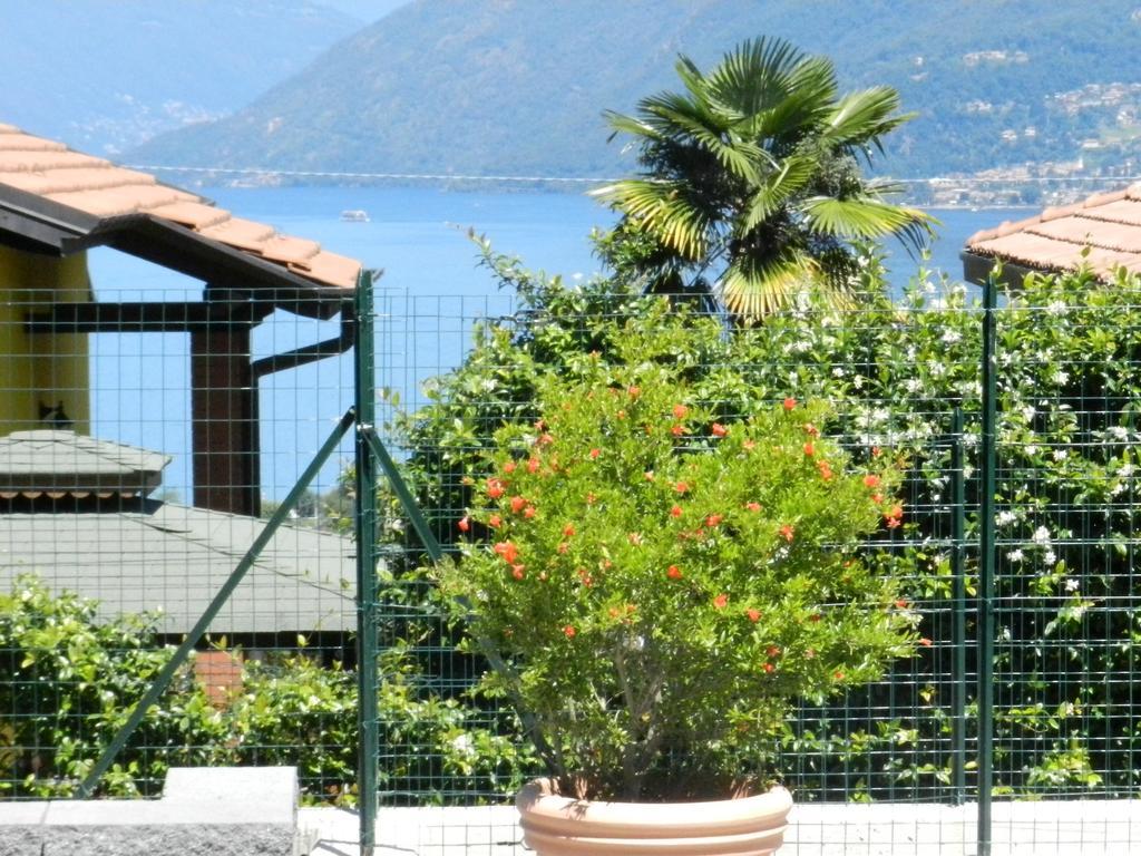 Casa Elena 1 Apartment Germignaga Exterior photo